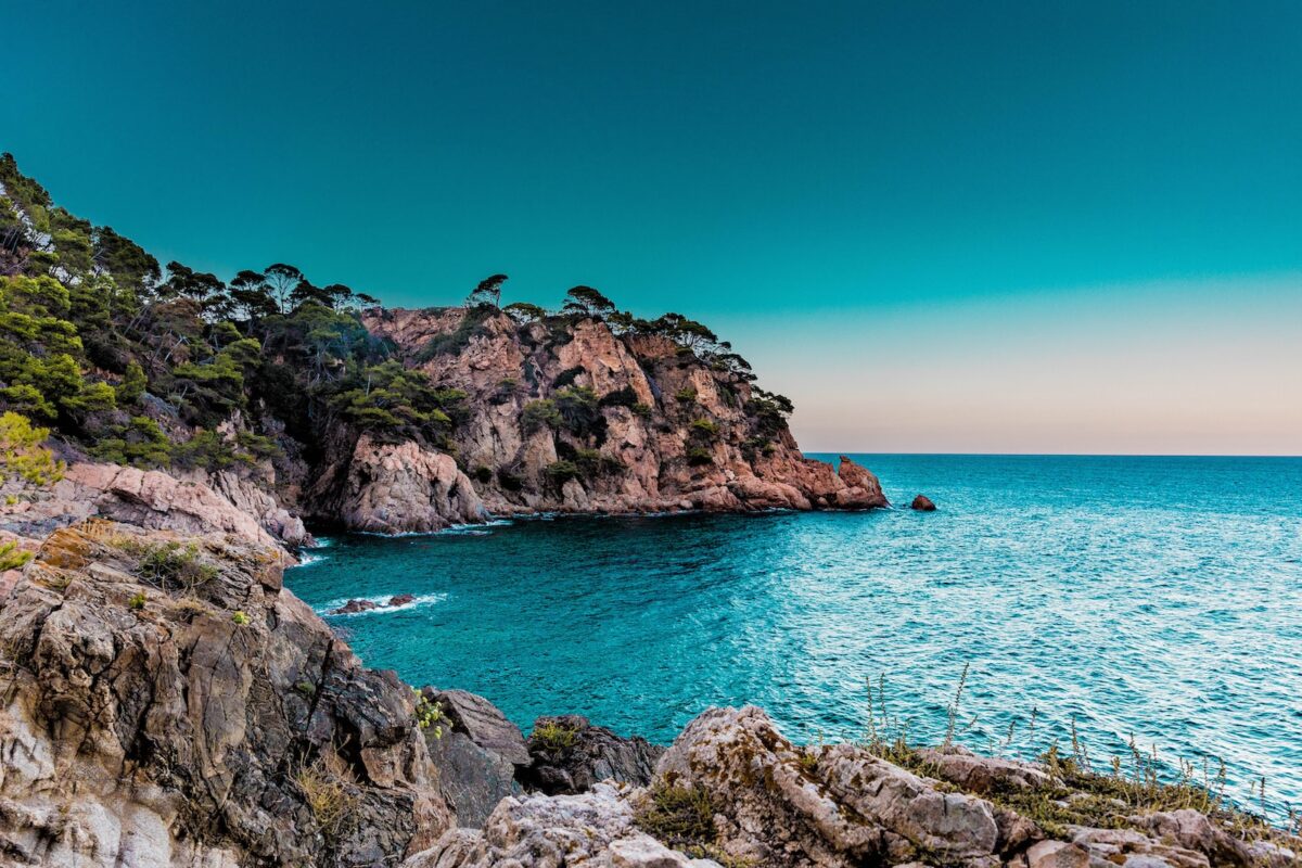 green trees covered island